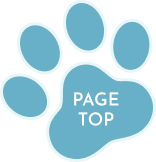 PAGE TOP
